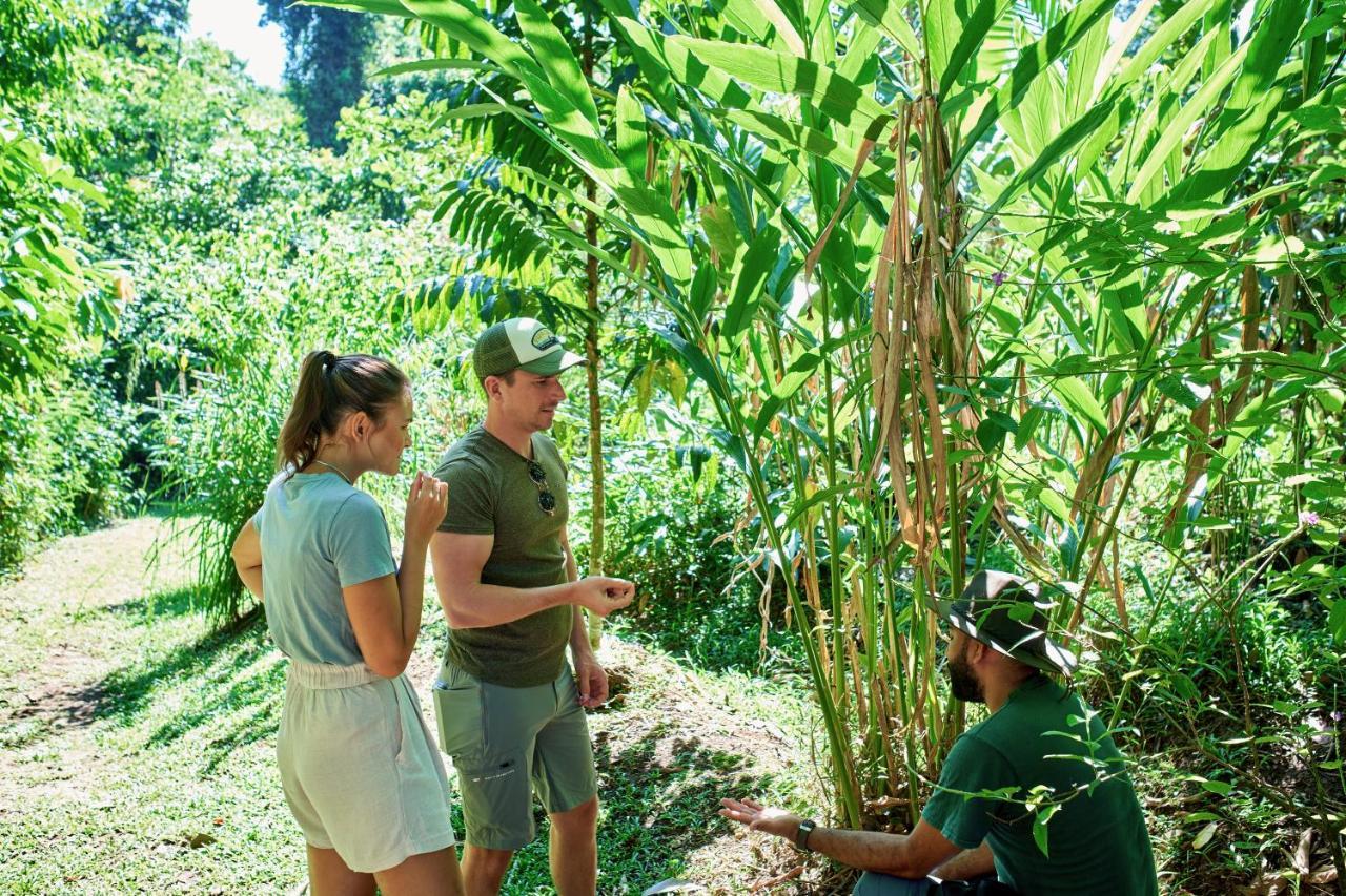 Finca Luna Nueva Lodge La Fortuna ภายนอก รูปภาพ