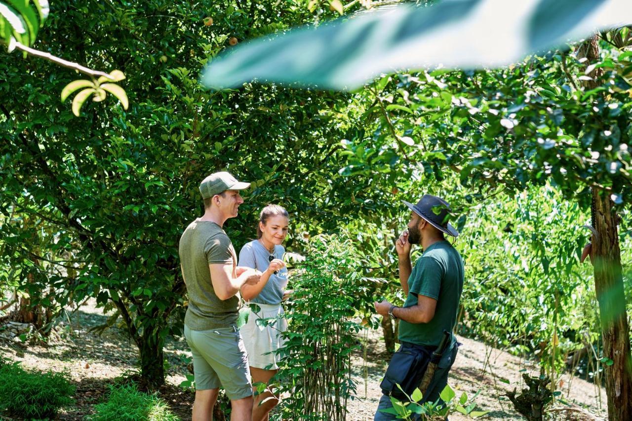 Finca Luna Nueva Lodge La Fortuna ภายนอก รูปภาพ