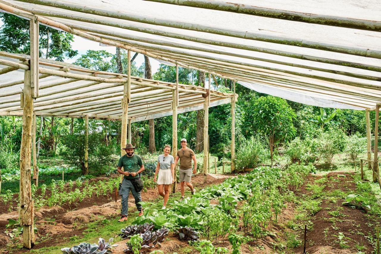 Finca Luna Nueva Lodge La Fortuna ภายนอก รูปภาพ