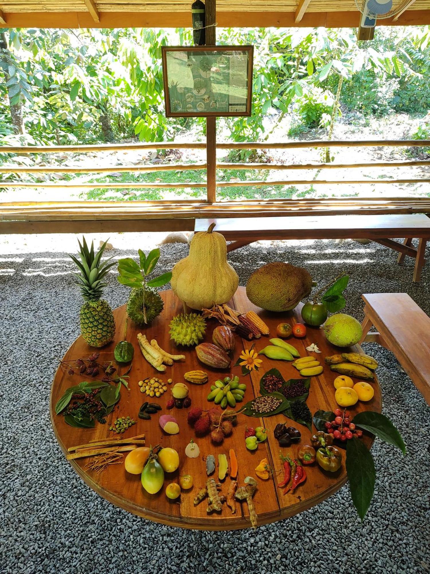 Finca Luna Nueva Lodge La Fortuna ภายนอก รูปภาพ